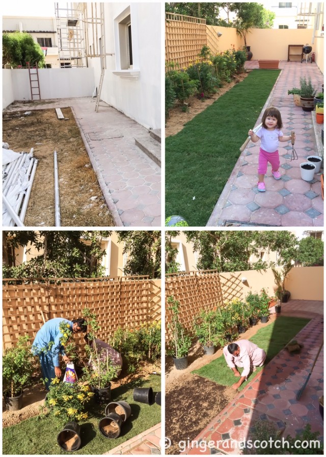 Garden - Before and After